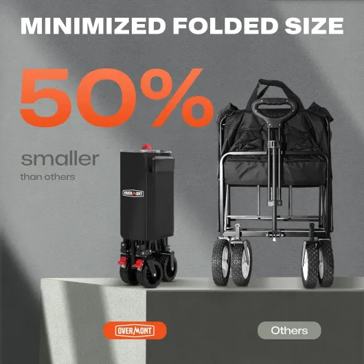 81PXtl9zLkL._SL1500_