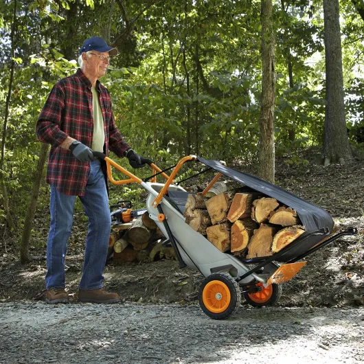 91fxFZFe9yL._SL1500_