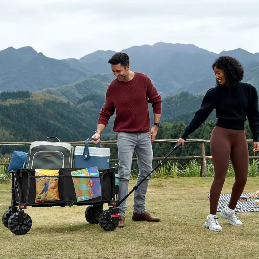 PORTAL Chariot de Plage Pliable, Chariot de Transport à roulettes Tout Terrain Poignée Réglable Charrette pour Extérieur Camping Pique-Nique avec Roue de 20 cm Noir Édition Évolution