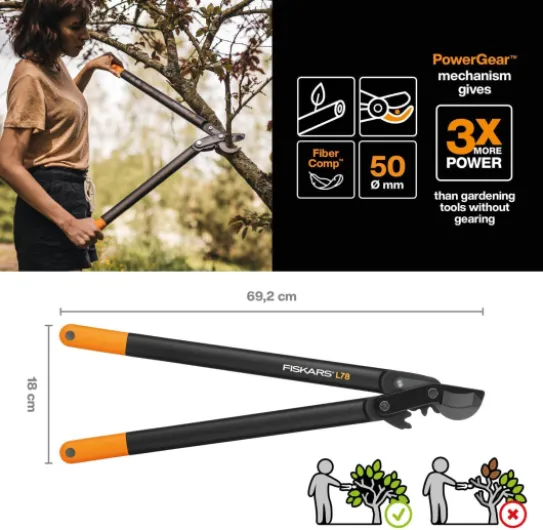 71zff1jEV2L._AC_SL1440_