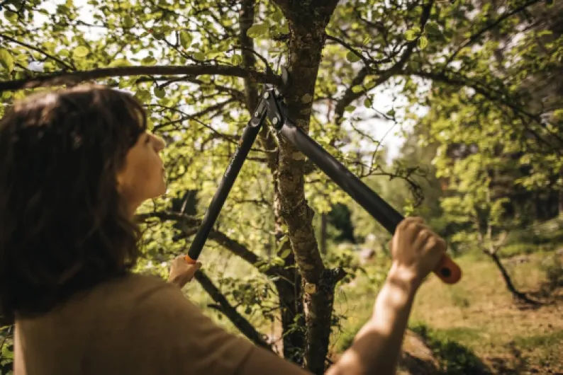 71BgEqNFsPL._AC_SL1439_