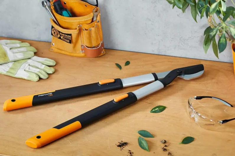 71uA-dSW-KL._AC_SL1500_