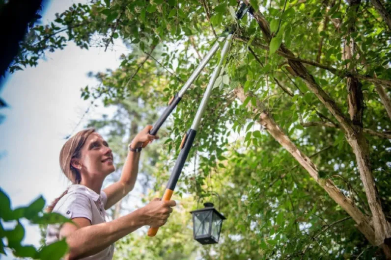 71jO9UdioUL._AC_SL1280_