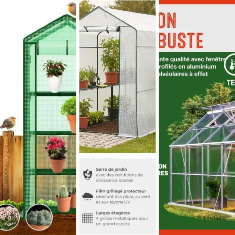 Quel serres polycarbonate résistantes choisir ? Top 4 (2026)