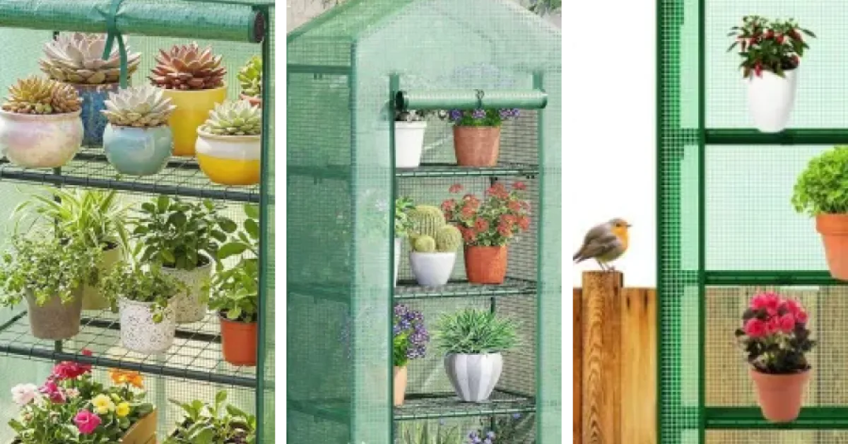 Classement des 7 meilleurs mini serres et serres de balcon (2026)