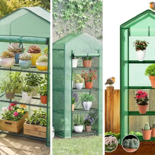 Classement des 7 meilleurs mini serres et serres de balcon (mars 2026)