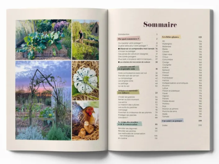 81A85HPoK-L._SL1500_