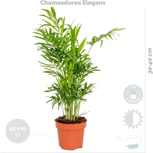 61mh0dM6tEL._AC_SL1200_