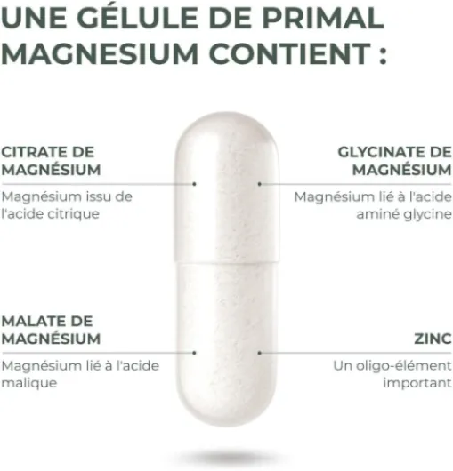 51DlReuBE0L._AC_SL1000_