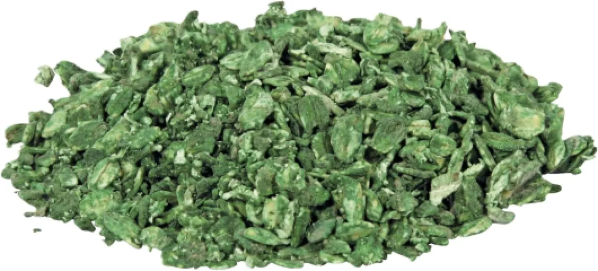 717N-O 372L._AC_SL1500_