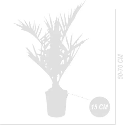 41h9rW1pssL._AC_SL1200_