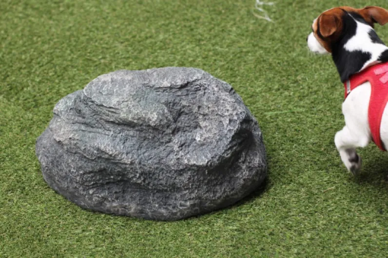 811hUk8 pAL._AC_SL1500_