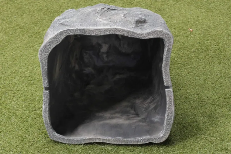 81h28XlO4vL._AC_SL1500_