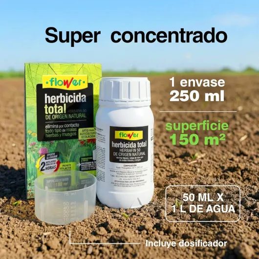 81HHbJo0ewL._SL1500_