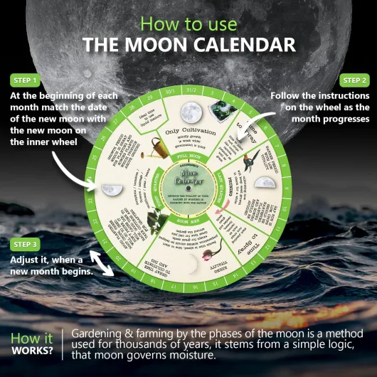 Calendrier lunaire de jardinage - Calendrier perpétuel de cycle lunaire pour jardiniers, agriculteurs - Almanach - Déterminer les heures optimales pour les activités de jardinage - Calendrier Planner Gardening Moon Calendar