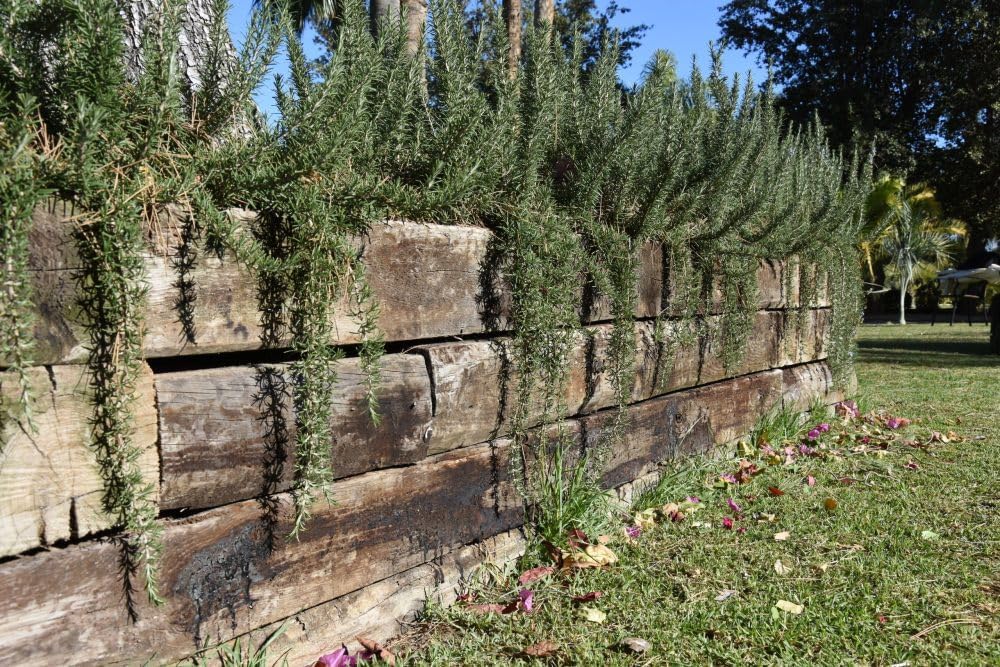 Suinga Traverse en Bois traité 20x10x120 cm, pour réaliser des Bordures, compositions décoratives dans Jardins, délimitation 22 x 10 x 200 cm