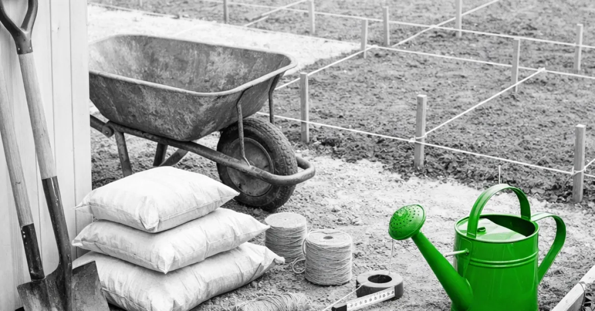 Aménagement grand jardin rectangulaire : plans, zones et plantes pour un espace harmonieux