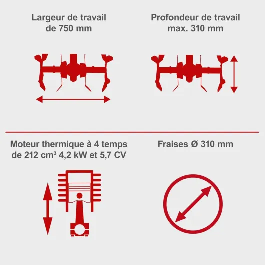 610-FMpqzqL._AC_SL1500_