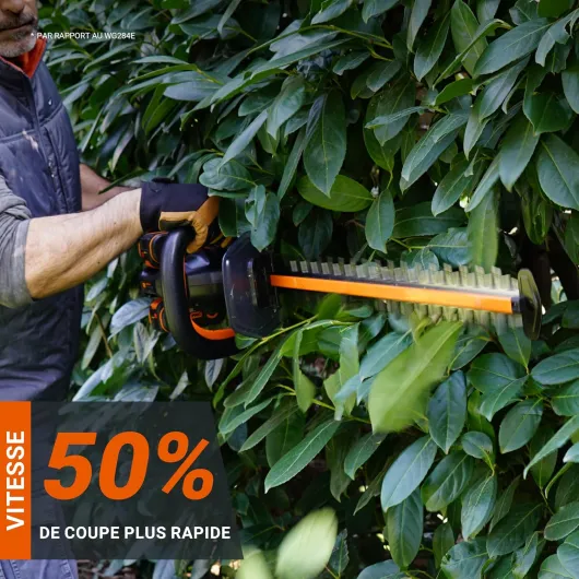 91A5iOaqYjL._AC_SL1500_