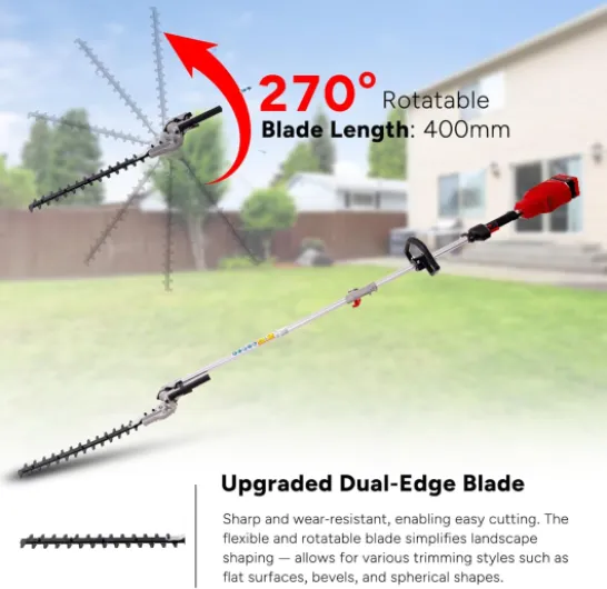 71romNzDFEL._AC_SL1500_