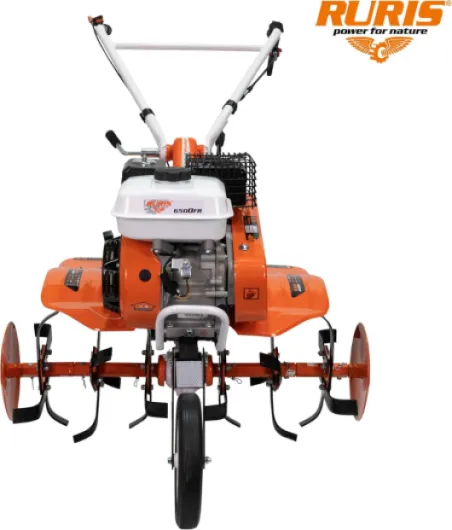 71BfCD6wuEL._AC_SL1500_