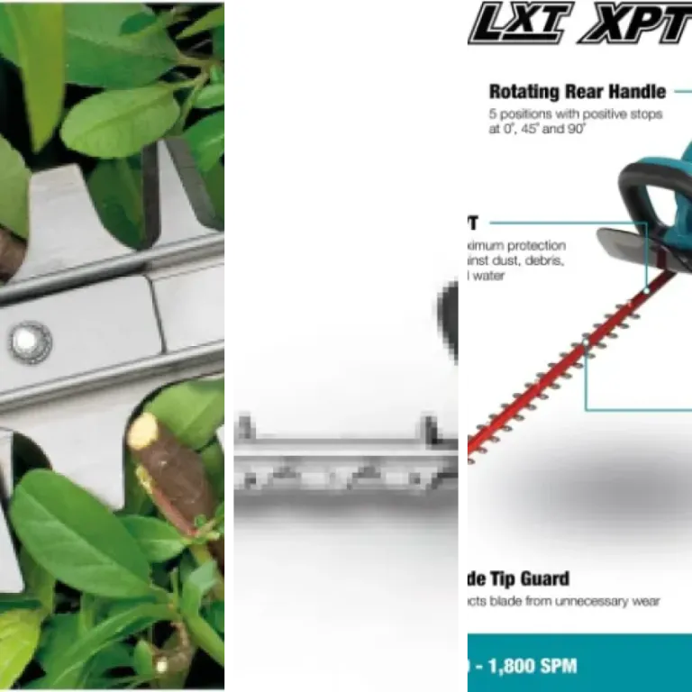 6 meilleurs taille-haies ergonomiques haut de gamme : notre comparatif (avril 2026)