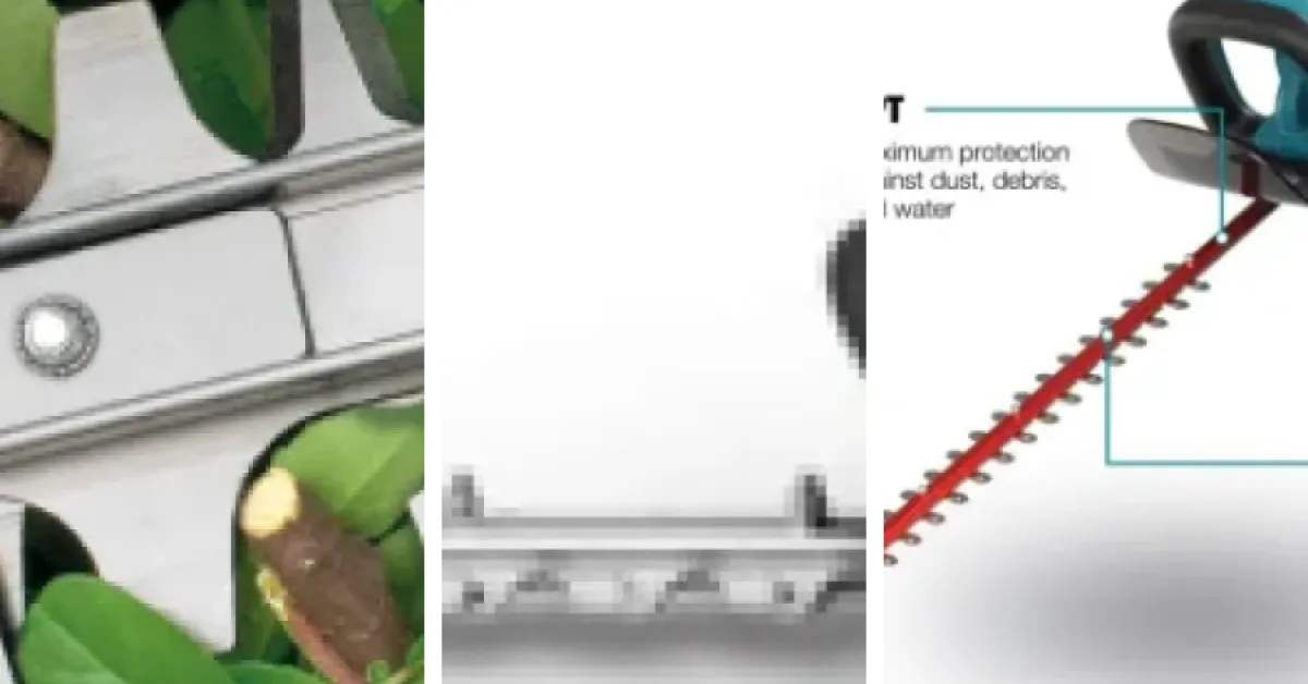 6 meilleurs taille-haies ergonomiques haut de gamme : notre comparatif (avril 2026)