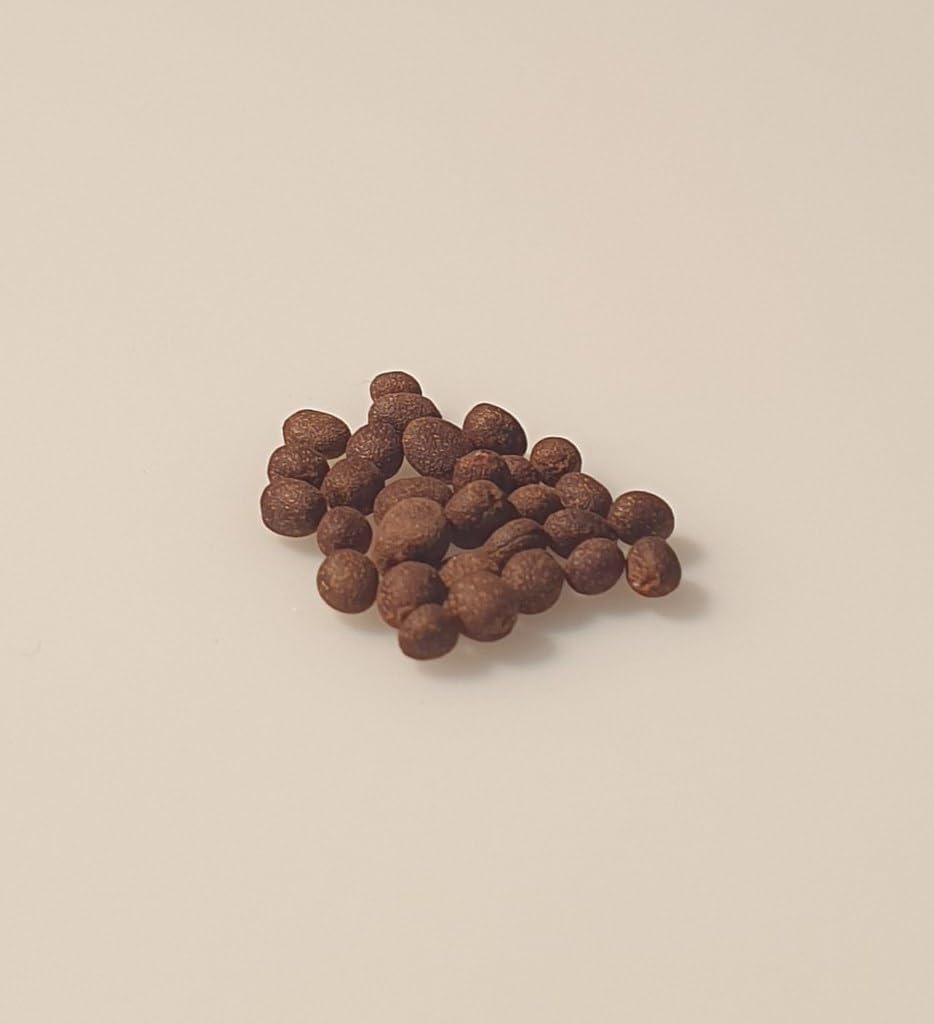 25 graines Fleurs à semer - Le Grenier d'Abondance - BALSAMINE des Jardins - Impatiens walleriana