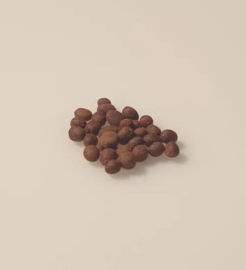 25 graines Fleurs à semer - Le Grenier d'Abondance - BALSAMINE des Jardins - Impatiens walleriana