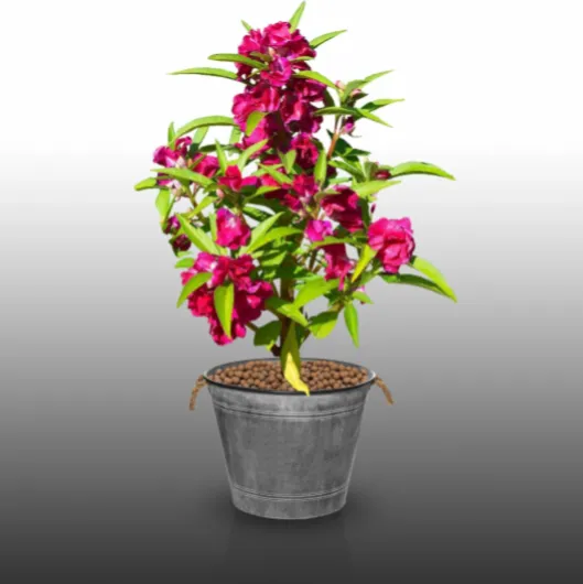 71K5GFcdl1L._AC_SL1500_