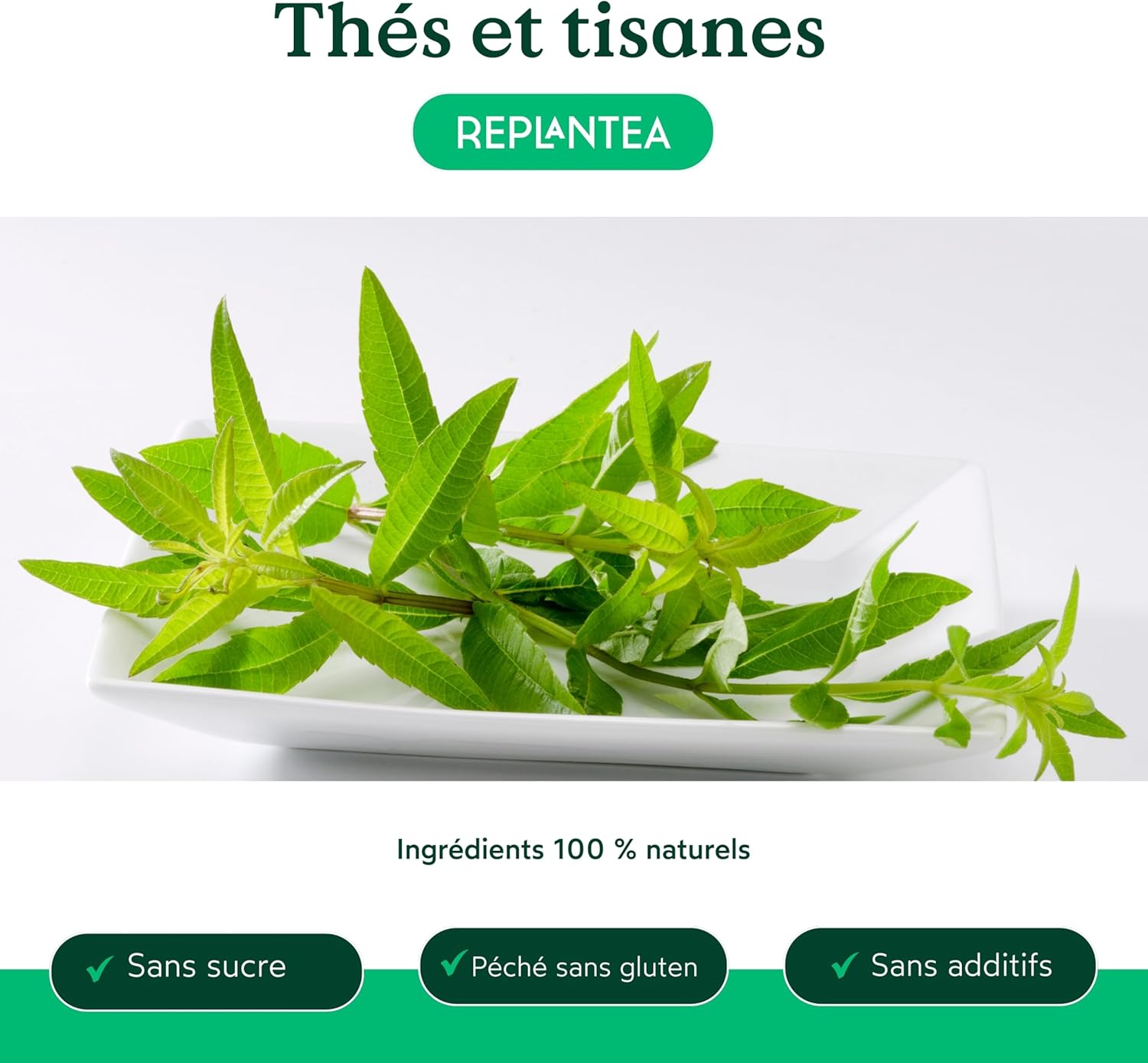 REPLANTEA Infusion de Verveine Odorante Bio 100g - Coupe Spéciale Infusion - Tisane Digestive et Relaxante - Arôme Intense de Citron - Aloysia Citriodora en Vrac