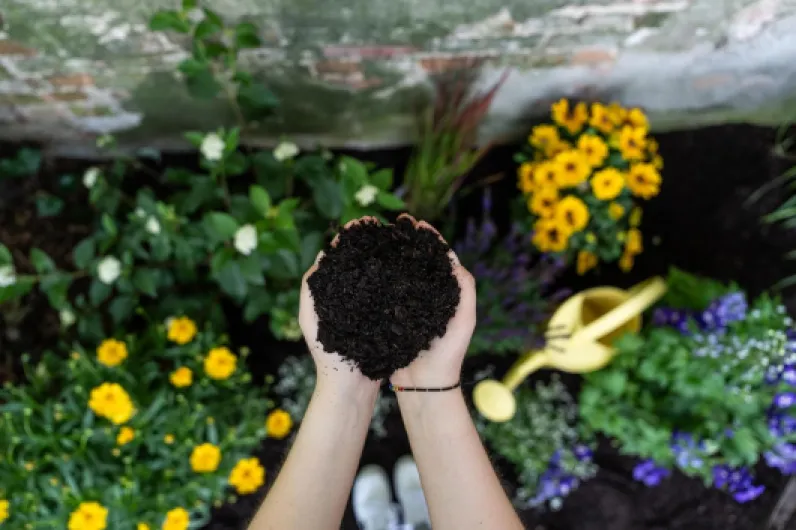 81N6-T6WFpL._AC_SL1500_