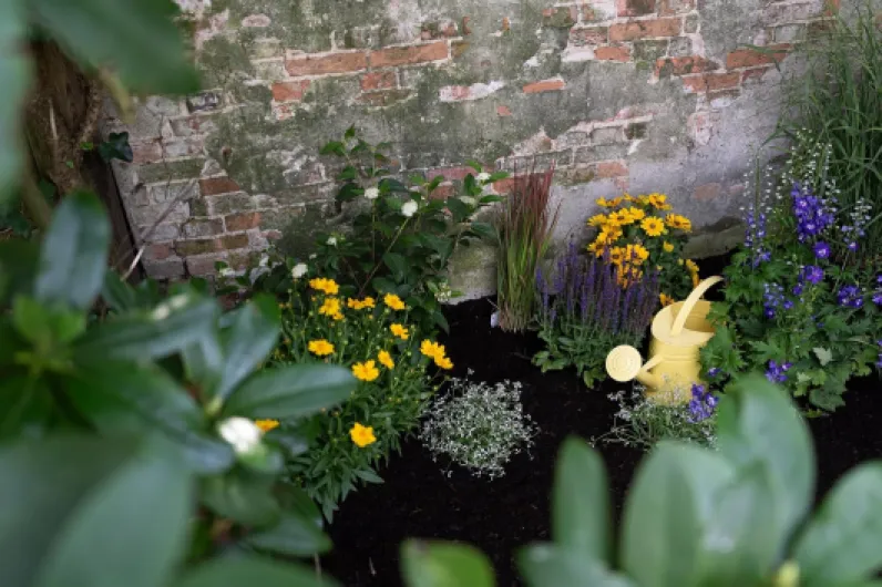 91XtXJ11Z7L._AC_SL1500_