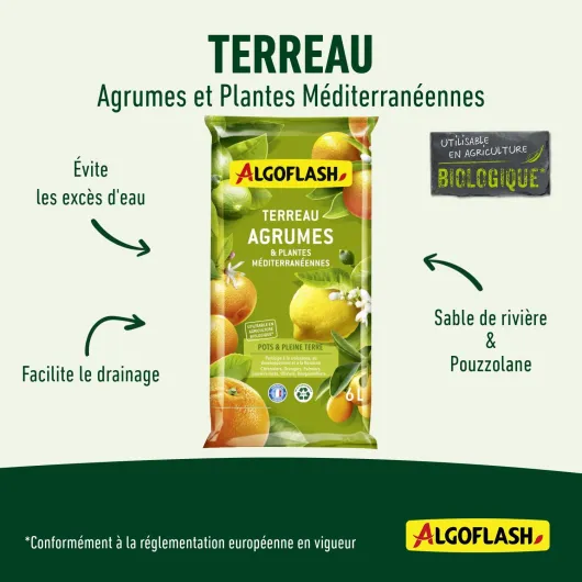 71t6kGkMVjL._AC_SL1500_