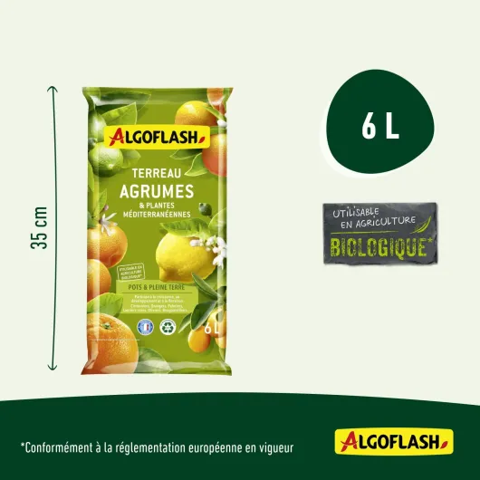 61fJw-MLx0L._AC_SL1500_