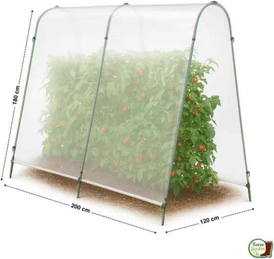 61pWfQg16vL._AC_SL1000_