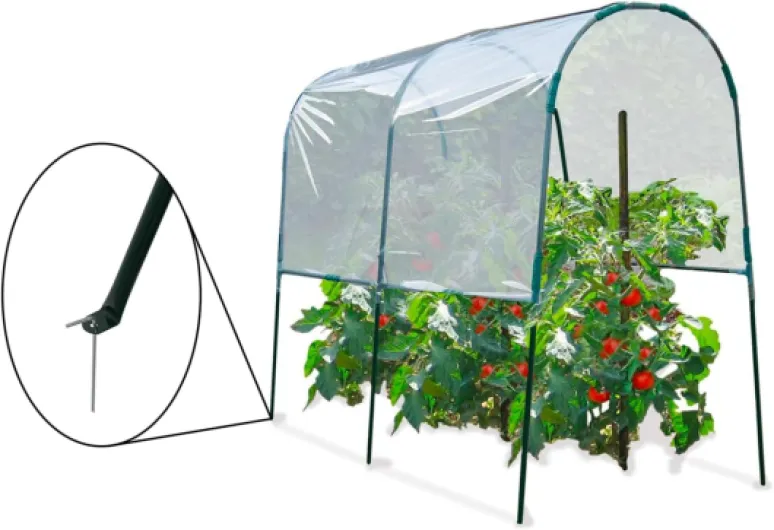 61ZgJG9wRBL._AC_SL1440_