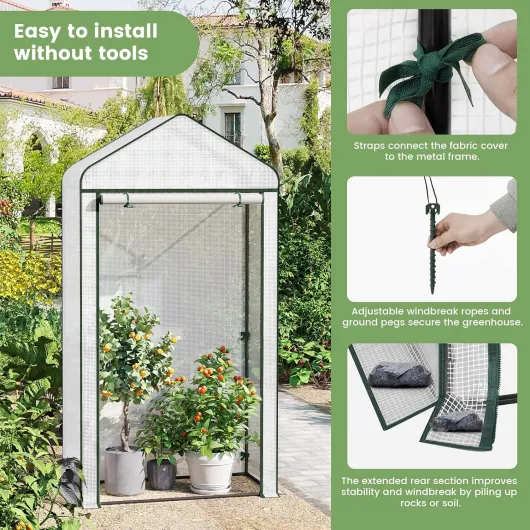 81xWjN0tPtL._AC_SL1500_