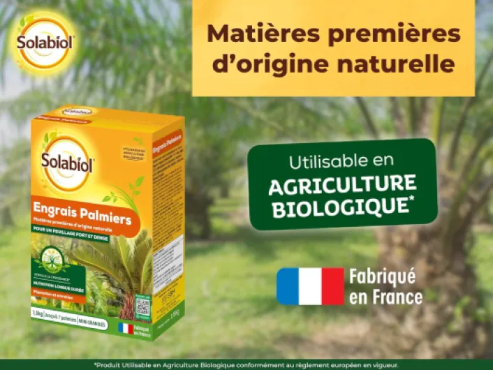 81zwKMMRghL._AC_SL1500_