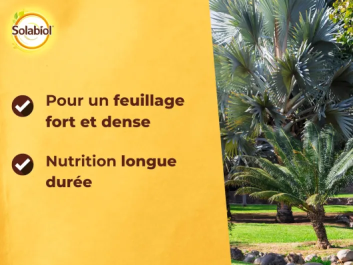 81bTPr4mFrL._AC_SL1500_