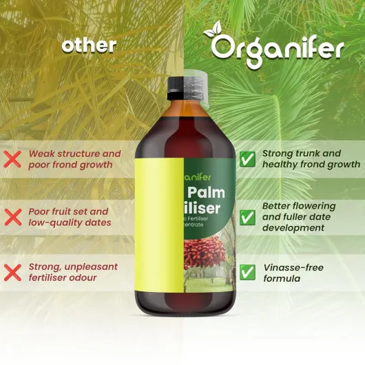 81WHZa45fjL._SL1500_