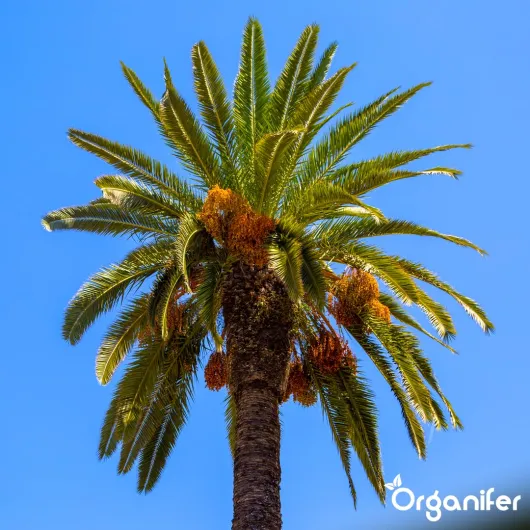 71eB5wTdEeL._SL1080_