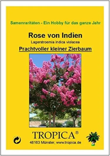 TROPICA - Lilas des Indes violet (Lagerstroemia indica violacea) - 200 graines- Magie tropicale