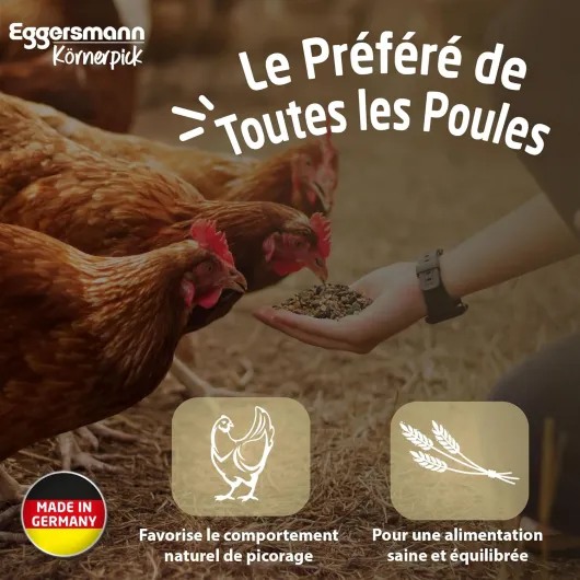 81WnKpsGgRL._AC_SL1500_