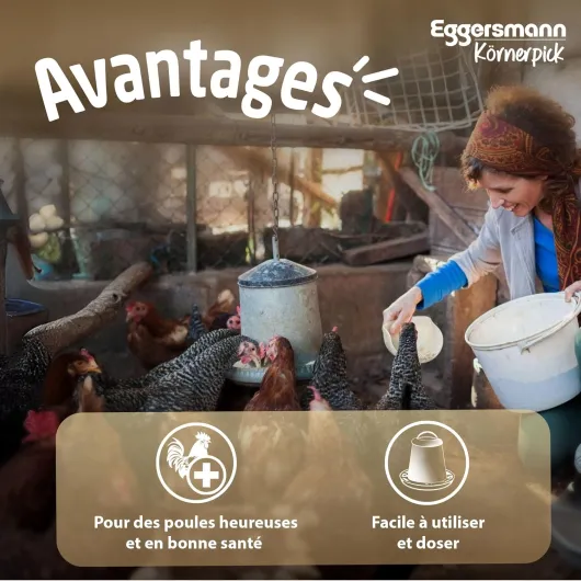 81j8mQjTkhL._AC_SL1500_