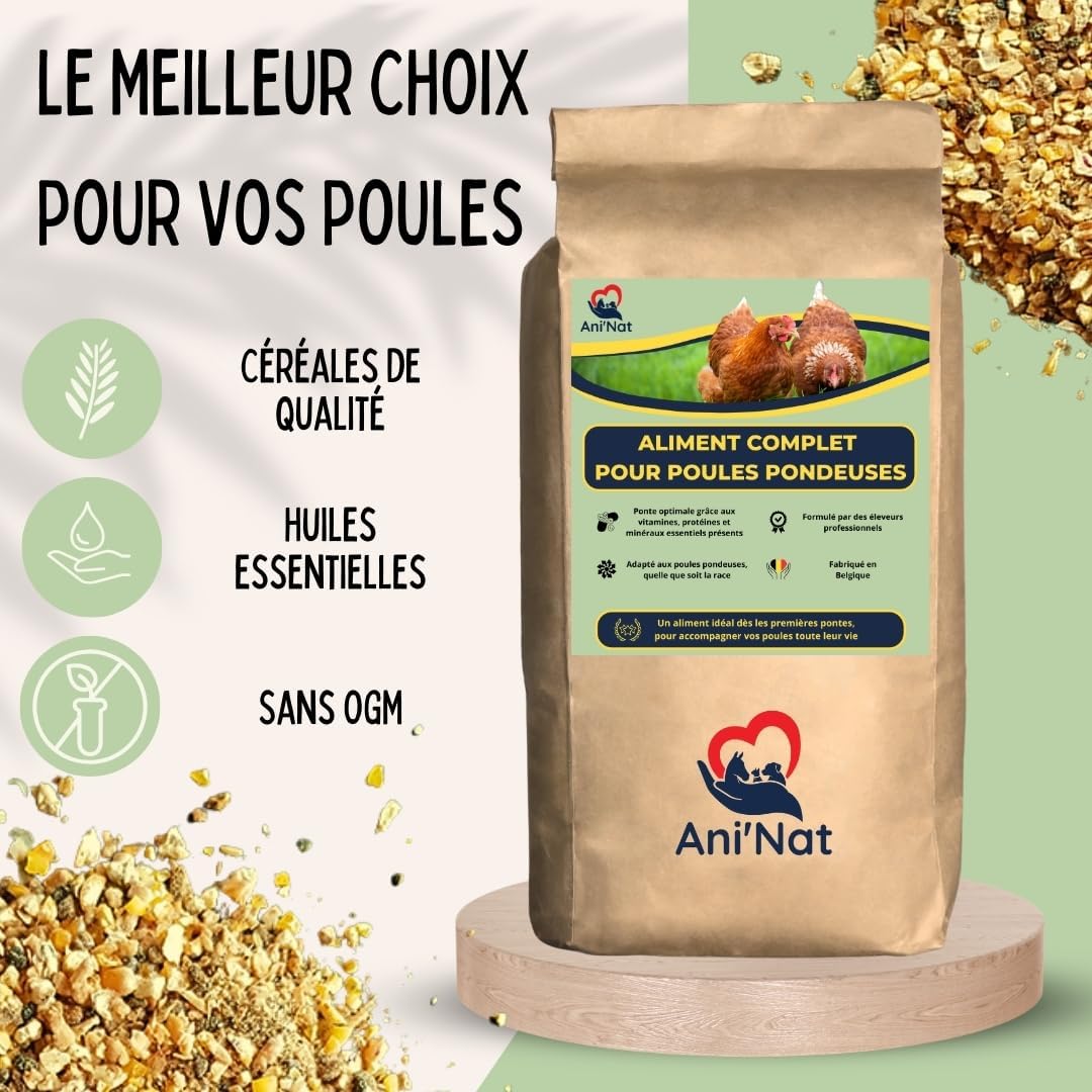 Aliment Poules Pondeuses sans OGM – avec Huiles Essentielles – Mélange Grossièrement Broyé – Nutrition Complète pour Ponte et Vitalité des Volailles (5000 g, Poules Pondeuses) 1