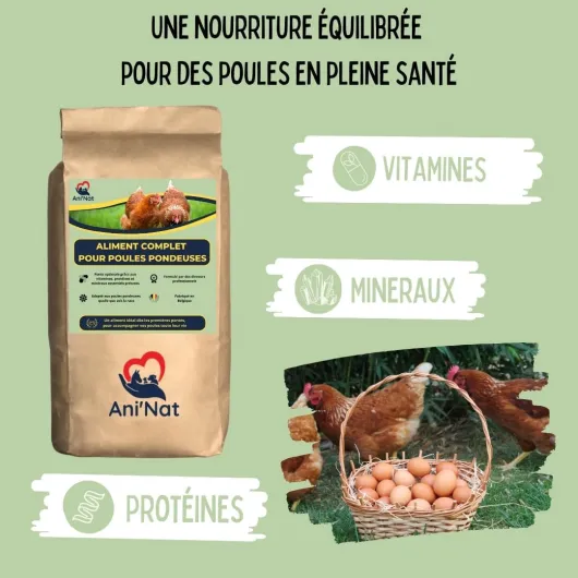 613UKTpiD9L._AC_SL1080_