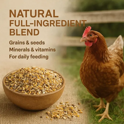 Nourriture pour Poulet 20 kg - Farine de Ponte complète pour Poulets - Nourriture pour volaille pour Une Performance de Ponte et Une Formation optimales - Meilleure Acceptation et