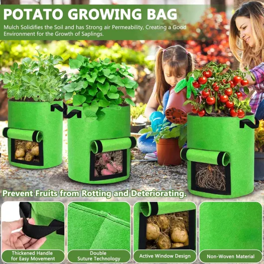 81uGXSgmbdL._AC_SL1500_