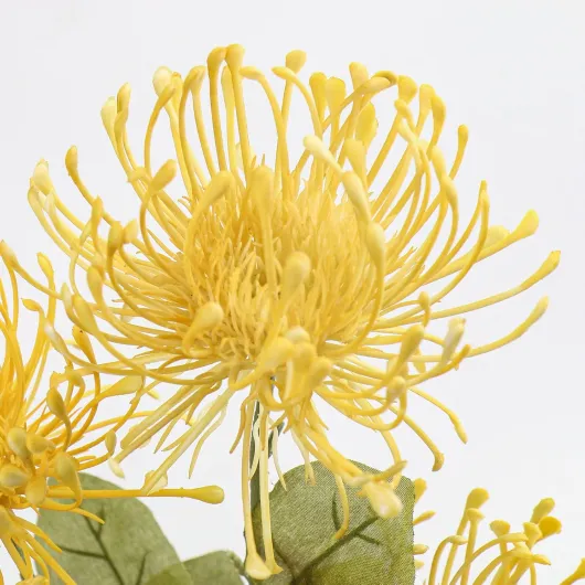 71tfua wwVL._AC_SL1500_